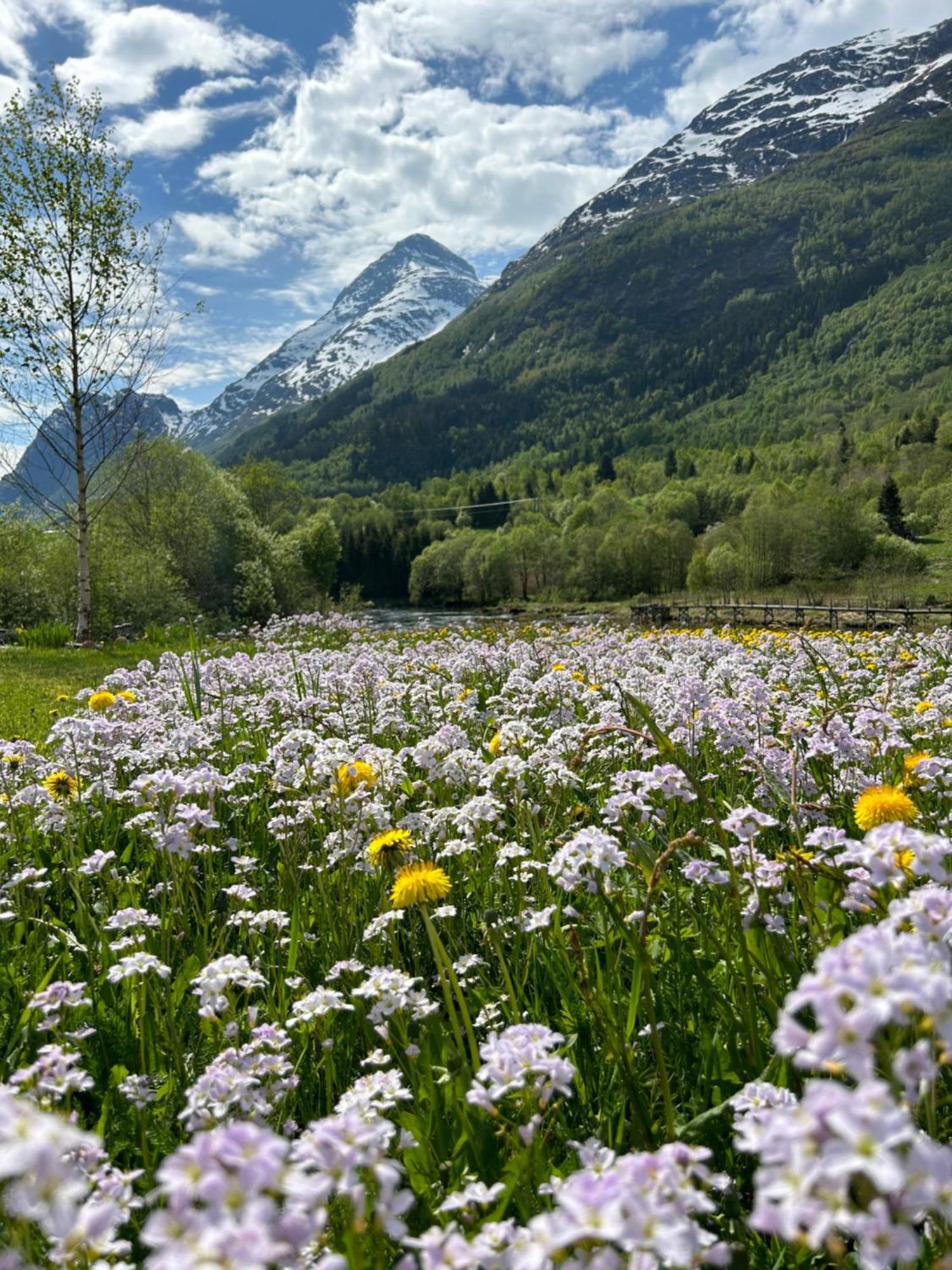 Naustvoll Villa Olden Eksteriør billede